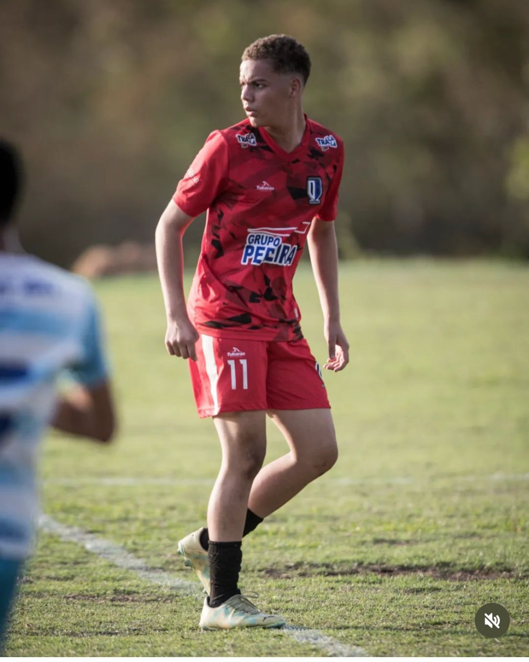 Formação e Cidadania